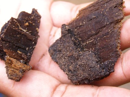 Around and About Places, events and items we come upon.