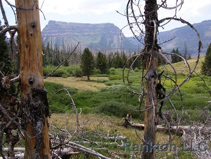 Trappers Lake Scouting 12