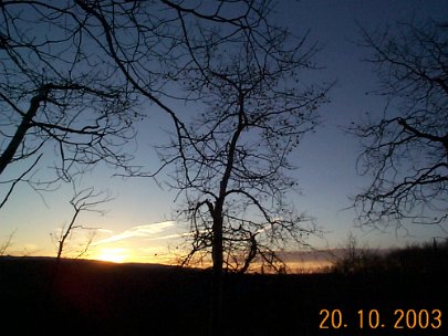 Sunrise on Coulter Mesa