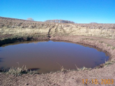 Top of Coulter Mesa wallow closer