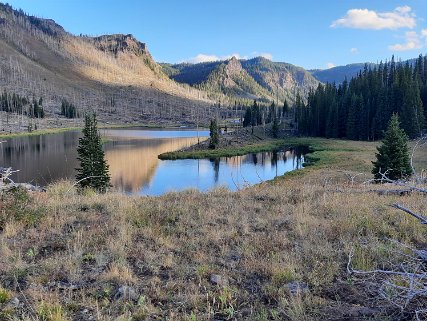 Elk Hunt 20