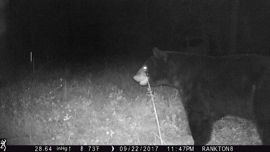 IMG_0024 2017 - Oak mdw