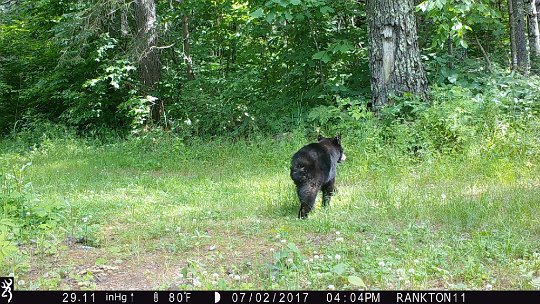 IMG_0107 2017 - Cabin road with adjoining photo of owner for size comparison