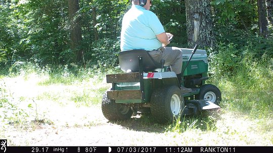 IMG_0125 2017 - Cabin road with adjoining photo of very small cub