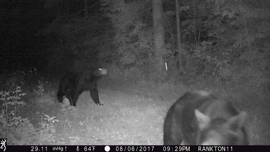 IMG_0185 2017 - Pair walking past cabin and outhouse