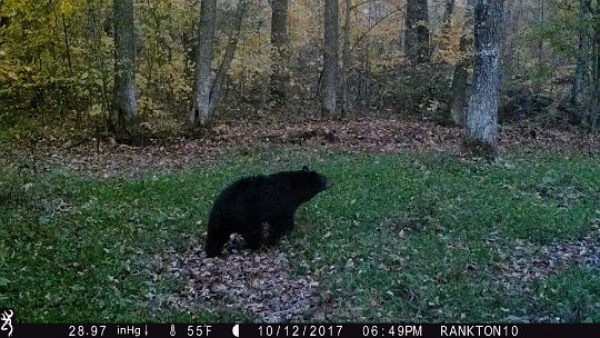 IMG_0502 2017 - East End