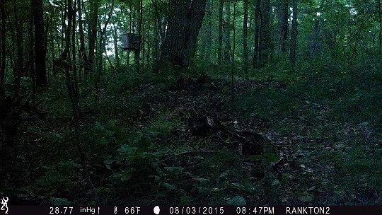 IMG_0233 2015 - Hard to see on the left, but there's a nice rack on that buck. LLR stand