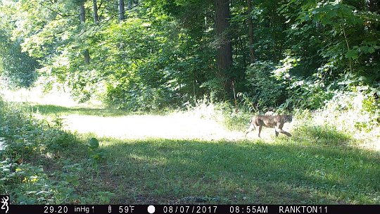 IMG_0190 2017 - Walking by cabin