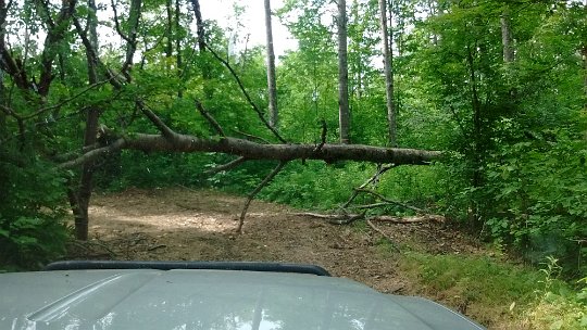 Dog_Leg_corner_aka_widow-maker-corner 2016 - Dog Leg corner aka Widow Maker corner