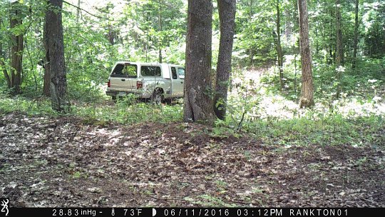 IMG_0180 East end Ranger before the mulcher