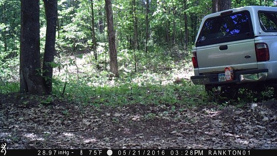 Premulching on Easet end food plot Early view of East End food plot