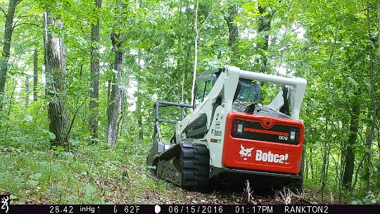 IMG_0777 2016 - LL stand food plot