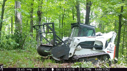 IMG_0816 2016 - LL stand food plot