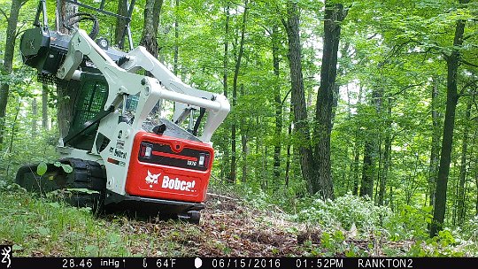 IMG_0832 2016 - LL stand food plot