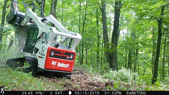 IMG_0837 2016 - LL stand food plot