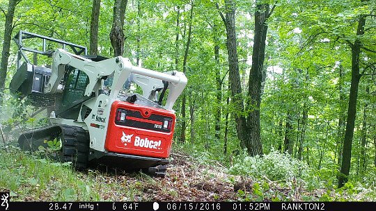 IMG_0838 2016 - LL stand food plot