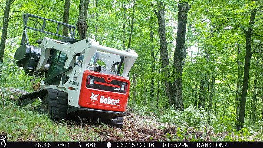 IMG_0848 2016 - LL stand food plot