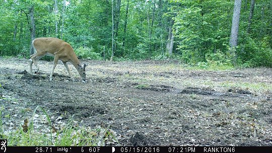 IMG_0607 2016 - Back within four hours