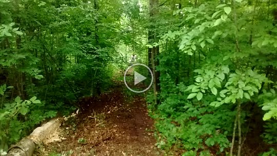 VID_20160615_145900634 2016 - Oak Mdw clearing shooting lane