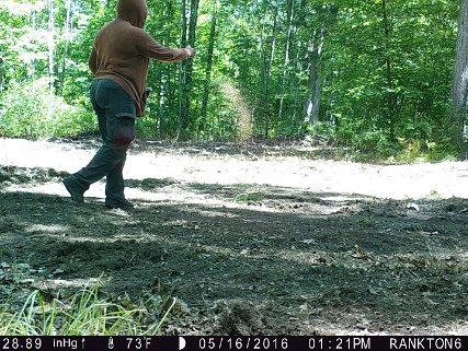 Oak Meadow food plot