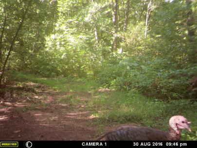 MFDC2956 2016 - Slough. RW camera