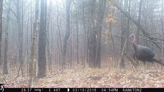 IMG_0084 2016 - LL stand