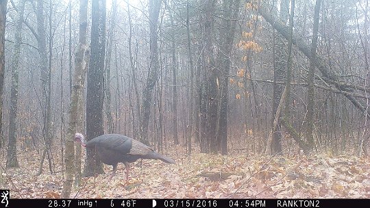 IMG_0088 2016 - LL stand