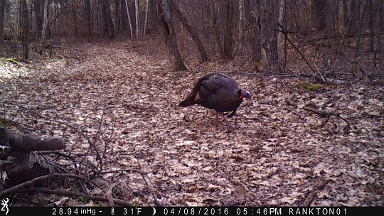 IMG_0172 2016 - East End road