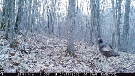 IMG_0433 2016 - LL stand