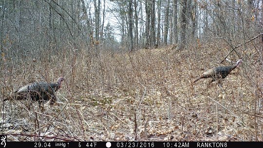 IMG_0716_Dog_Leg 2016 - Dog Leg MDW